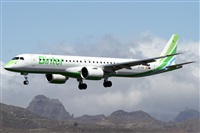 ©Alfonso Solís - Asociación Canary Islands Spotting. Click to see full size photo ©Alfonso Solís - Asociación Canary Islands Spotting. Click to see full size photo