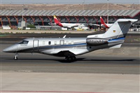 ©Alfonso Solís - Asociación Canary Islands Spotting. Click to see full size photo ©Alfonso Solís - Asociación Canary Islands Spotting. Click to see full size photo