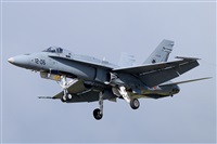 Toni Marimon. Click to see full size photo