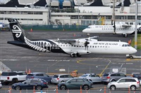 �Miguel A. �gueda Rguez.  (CANARY ISLANDS SPOTTING). Click to see full size photo