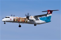 ©Jose M. Deza. Click to see full size photo ©Jose M. Deza. Click to see full size photo