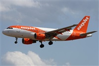 ©Alfonso Solís - Asociación Canary Islands Spotting. Click to see full size photo ©Alfonso Solís - Asociación Canary Islands Spotting. Click to see full size photo