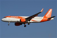 �Alfonso Sol�s - Asociaci�n Canary Islands Spotting. Click to see full size photo