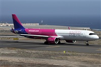 ©Alfonso Solís - Asociación Canary Islands Spotting. Click to see full size photo ©Alfonso Solís - Asociación Canary Islands Spotting. Click to see full size photo
