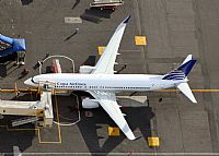 Melvin Pereira - Iberian Spotter. Click to see full size photo