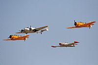 Javier Bozzino Barbudo. Click to see full size photo