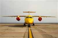Javier de la Cruz - CANARY ISLANDS SPOTTING. Click to see full size photo