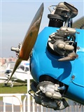 Pablo Pay - Pericana Spotters. Click to see full size photo
