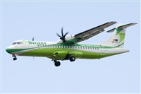 Luciano de la Rosa Gutirrez (Tenerife) Canary Islands Spotting. Click to see full size photo