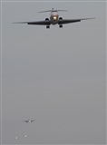 Jorge Molina. Click to see full size photo