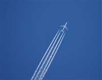 ©Rubén Gil - Noisy Spotters. Click to see full size photo ©Rubén Gil - Noisy Spotters. Click to see full size photo
