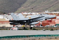 Alejandro H.L - Gran Canaria Spotters. Click to see full size photo