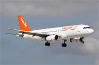 Alfonso Sols - Asociacin Canary Islands Spotting. Click to see full size photo
