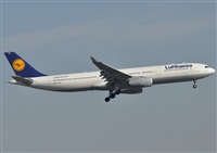 Rubn Gil - Noisy Spotters. Click to see full size photo