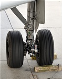 EC-ISM. Click to see full size photo