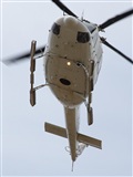 Nacho Rodriguez - Canary Islands Spotting. Click to see full size photo