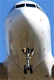 Rodrigo Carvalho - Noisy Spotters. Click to see full size photo