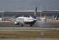 Jos Miguel Bernases - Noisy Spotters. Click to see full size photo