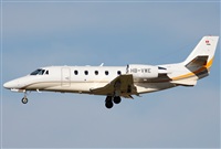 Jos Miguel Bernases - Noisy Spotters. Click to see full size photo