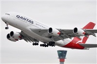 Rubn Gil - Noisy Spotters. Click to see full size photo