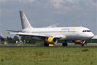 ©Alfonso Solís - Asociación Canary Islands Spotting. Click to see full size photo ©Alfonso Solís - Asociación Canary Islands Spotting. Click to see full size photo