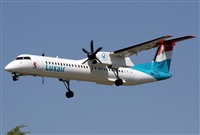 Jos Miguel Bernases - Noisy Spotters. Click to see full size photo