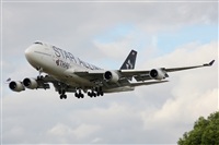 Rodrigo Carvalho - Noisy Spotters. Click to see full size photo