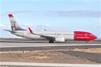 Miguel A. gueda Rguez.  (CANARY ISLANDS SPOTTING). Click to see full size photo