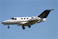 Jos Miguel Bernases - Noisy Spotters. Click to see full size photo