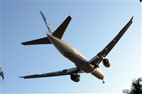 Ana L@dy Spotter. Click to see full size photo