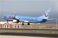 Javier de la Cruz - CANARY ISLANDS SPOTTING. Click to see full size photo