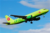 Luciano Fumero( freedom spotter)canary island spotting. Click to see full size photo