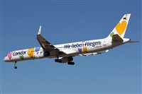 Adrin Alonso Lemes - Lanzarote Spotters. Click to see full size photo