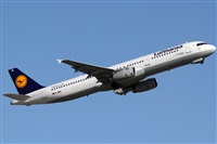Rubn Gil - Noisy Spotters. Click to see full size photo