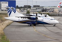 Miguel Alia - Noisy Spotters. Click to see full size photo