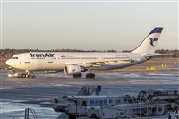 Javier de la Cruz - CANARY ISLANDS SPOTTING. Click to see full size photo