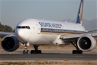 Miguel Alia - Noisy Spotters. Click to see full size photo