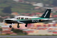 Miguel A. gueda Rguez.  (CANARY ISLANDS SPOTTING). Click to see full size photo