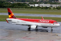 Rodrigo Carvalho - Noisy Spotters. Click to see full size photo