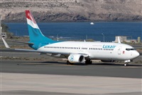 Bartolom Fernndez - Gran Canaria Spotters. Click to see full size photo