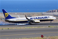 Miguel A. gueda Rguez.  (CANARY ISLANDS SPOTTING). Click to see full size photo