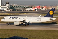 Miguel Alia - Noisy Spotters. Click to see full size photo