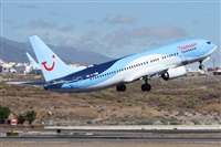 ©Alfonso Solís - Asociación Canary Islands Spotting. Click to see full size photo ©Alfonso Solís - Asociación Canary Islands Spotting. Click to see full size photo