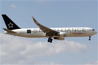 Rubn Gil - Noisy Spotters. Click to see full size photo
