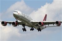 Rubn Gil - Noisy Spotters. Click to see full size photo