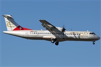 David Bracci - Tuscan Aviation. Click to see full size photo