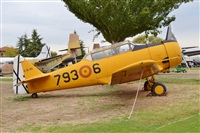 John Mellor. Click to see full size photo