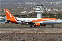 ©Alfonso Solís - Asociación Canary Islands Spotting. Click to see full size photo ©Alfonso Solís - Asociación Canary Islands Spotting. Click to see full size photo