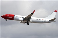 Alfonso Sols - Asociacin Canary Islands Spotting. Haz click para ampliar