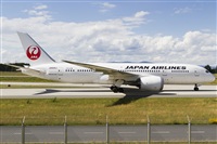 Rubn Gil - Noisy Spotters. Click to see full size photo